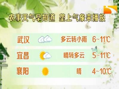 垄上气象站 2021-01-25