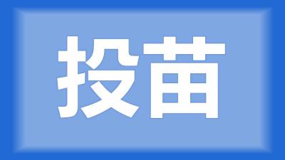 洪湖市刘师傅：养龙虾池里一亩水面最多能投放多少尾花白鲢鱼苗？