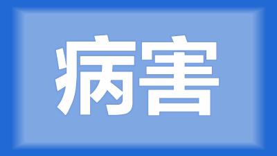 仙桃市邓师傅：鱼身脱鳞、口吐白液似胶水，请问老师这是怎么了？