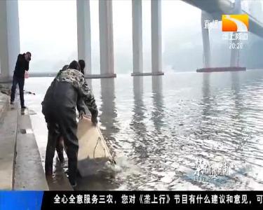 湖北禁捕退捕进行时 2021-01-12