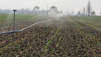 小麦冬灌遇降温 产生冻害后如何管理