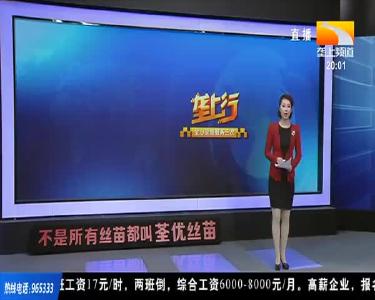 我省启动 “稻虾憨” 模式和 “七钱虾” 生产技术研究攻关行动