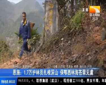 恩施：1.7万护林员扎根深山 保鄂西林海苍翠无虞