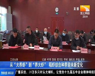 从“大养虾” 到 “养大虾” 稻虾综合种养迎来新变化