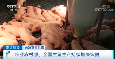 农业农村部：预计今年1-2月份生猪出栏比上年同期增长25%