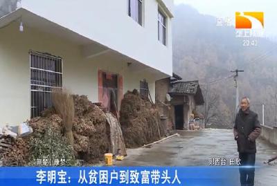 李明宝:从贫困户到致富带头人
