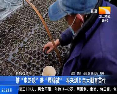 铺“电热毯”盖“厚棉被” 春来到乡亲大棚育苗忙
