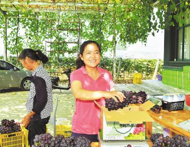 “荆楚楷模”田习姣：一棵葡萄树结出富民果