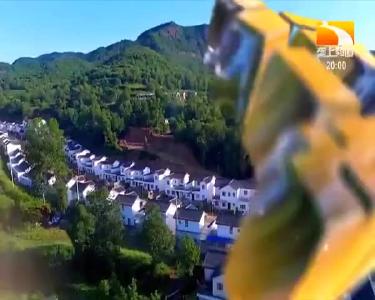 垄上行 2021-02-12