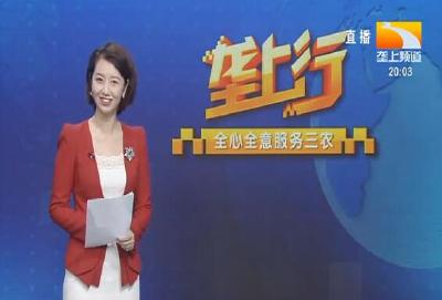 垄上行 2021-02-08