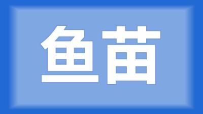 枝江市杨师傅：鲢鱼苗死亡飘在水面，鱼苗眼睛发白，是怎么回事？