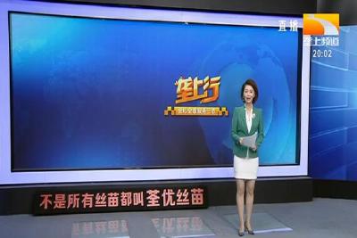 垄上行 2021-02-24