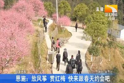 恩施巴东果飘香 游客享受 “莓”好时光