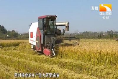 加快推进农业现代化 “中部种都”大有作为