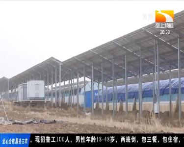 石墨烯进大棚 新鲜瓜果冬季不断茬