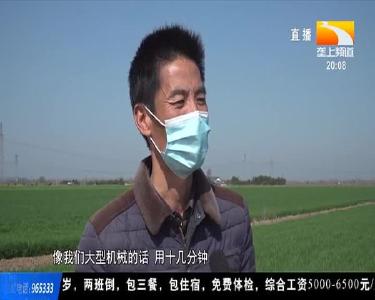 当阳：抢抓农时 春耕春管农机“挑”大梁