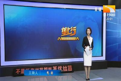 垄上行 2021-02-05