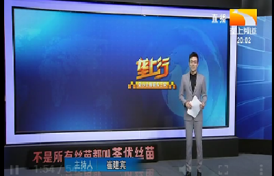 垄上行 2021-02-15