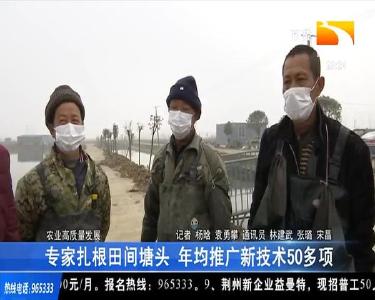 专家扎根田间塘头 年均推广新技术50多项