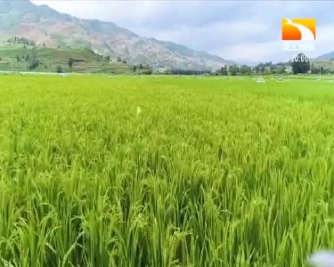 垄上行 2021-02-26