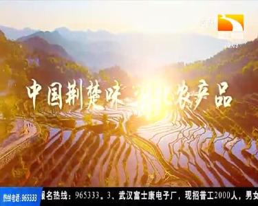 垄上行 2021-02-21