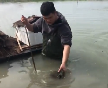 养鱼户要为“鱼的意外”赔5千？工人被鱼撞伤眼，咋办？