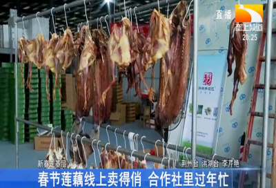 春节莲藕线上卖得俏 合作社里过年忙