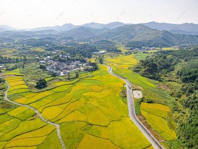 武汉实施“十大工程”发展精致农业