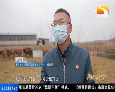 脱下戎装守家乡 当好乡村振兴排头兵