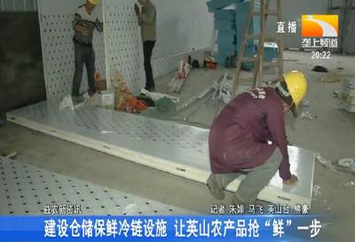 建设仓储保鲜冷链设施 让英山农产品抢“鲜”一步