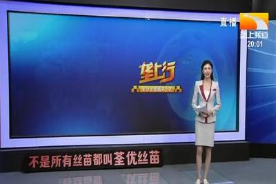 垄上行 2021-02-16