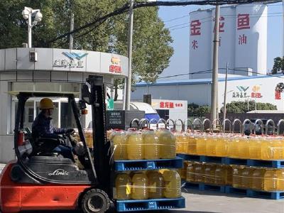 武汉最大粮油生产基地全面开工