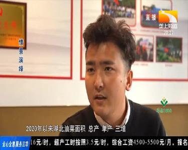 家乡最美油菜花海 等你来推介