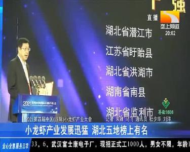 小龙虾产业发展迅猛 湖北五地榜上有名