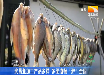 鄂州产无公害武昌鱼 俏销市场卖价高