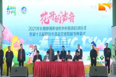 宜昌长阳: 小木瓜带来了大产业