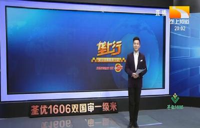 垄上行 2021-03-20