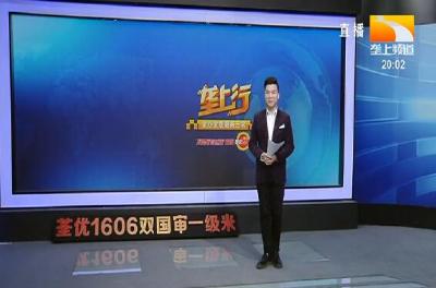 垄上行 2021-03-13