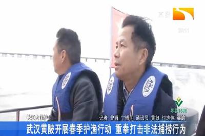 武汉黄陂开展春季护渔行动 重拳打击非法捕捞行为