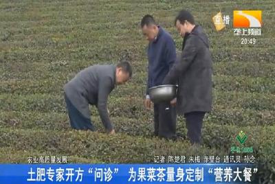 土肥专家开方“问诊” 为果菜茶量身定制“营养大餐”
