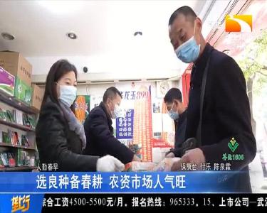 选良种备春耕 农资市场人气旺