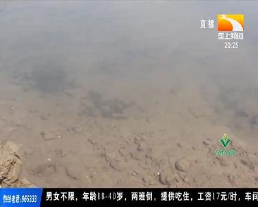 制定养殖时间表 “一塘三养” 效益好