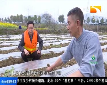 咸宁通山农技到田 助力春耕