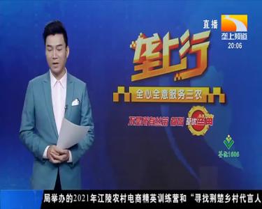 高质量打造农品品牌 “千里江陵”焕发新生机