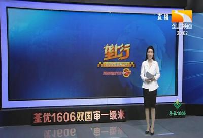 垄上行 2021-03-27