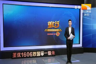 垄上行 2021-03-05