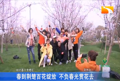 春到荆楚百花绽放 不负春光赏花去