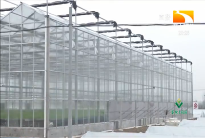 “大别墅”里育瓜苗 现代化智能温控育苗棚多快好省