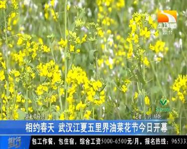 以花为媒 江夏春季赏花游等你来打卡