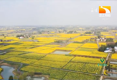 乡村振兴花为媒 2021湖北省油菜花节今天启幕